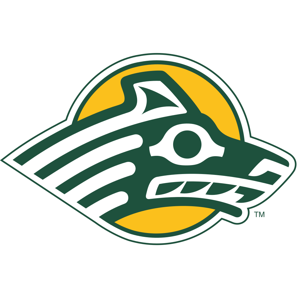 University of Alaska Anchorage Colors