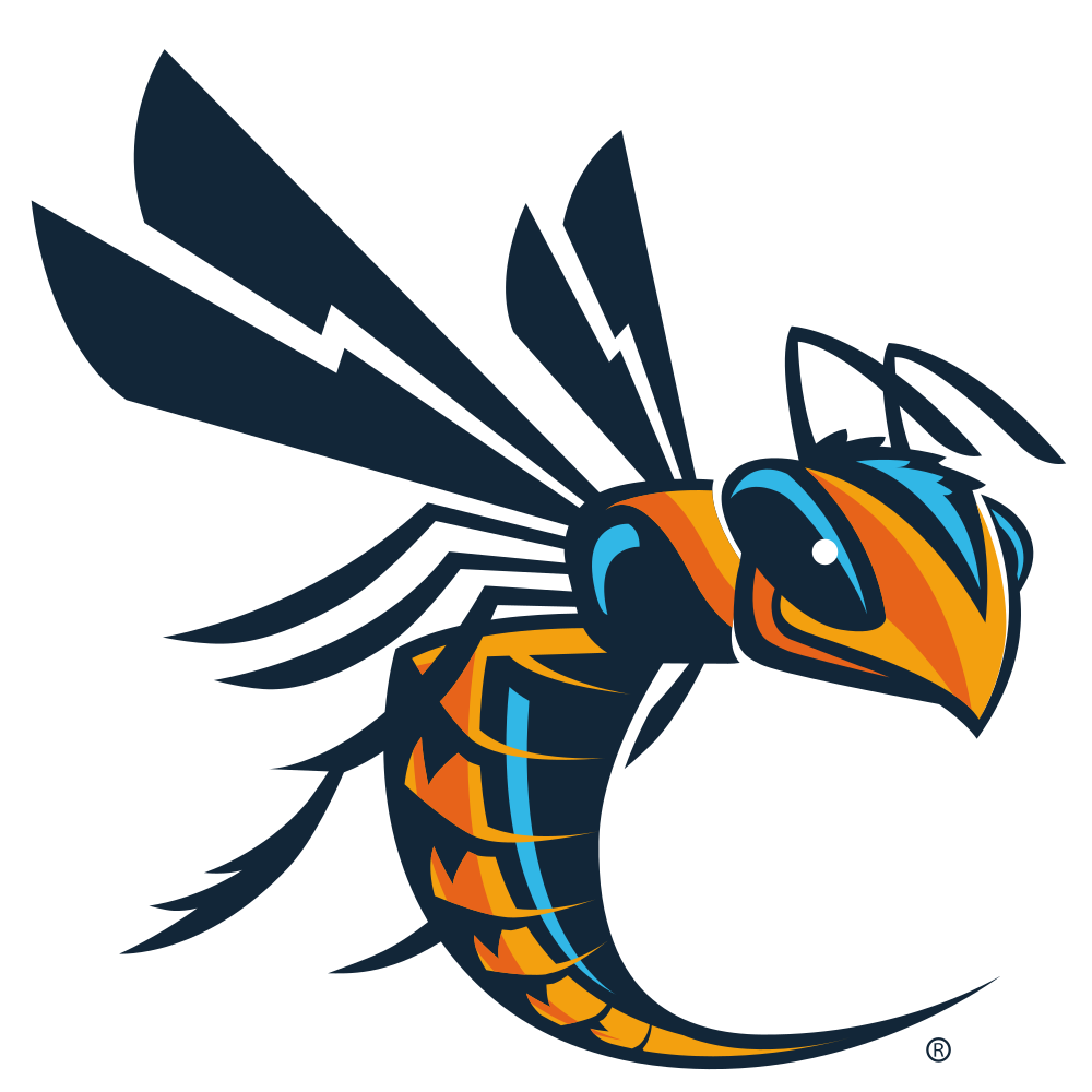 Cedarville University Colors