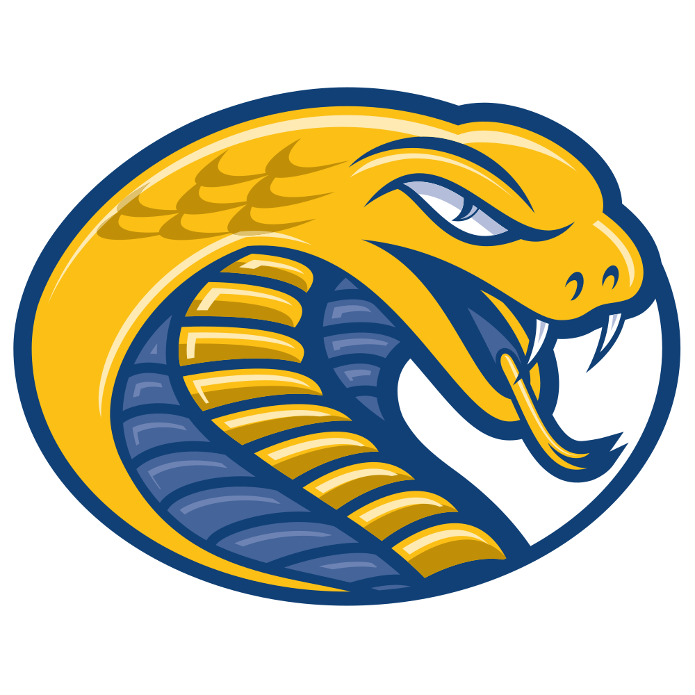 Coker College Colors