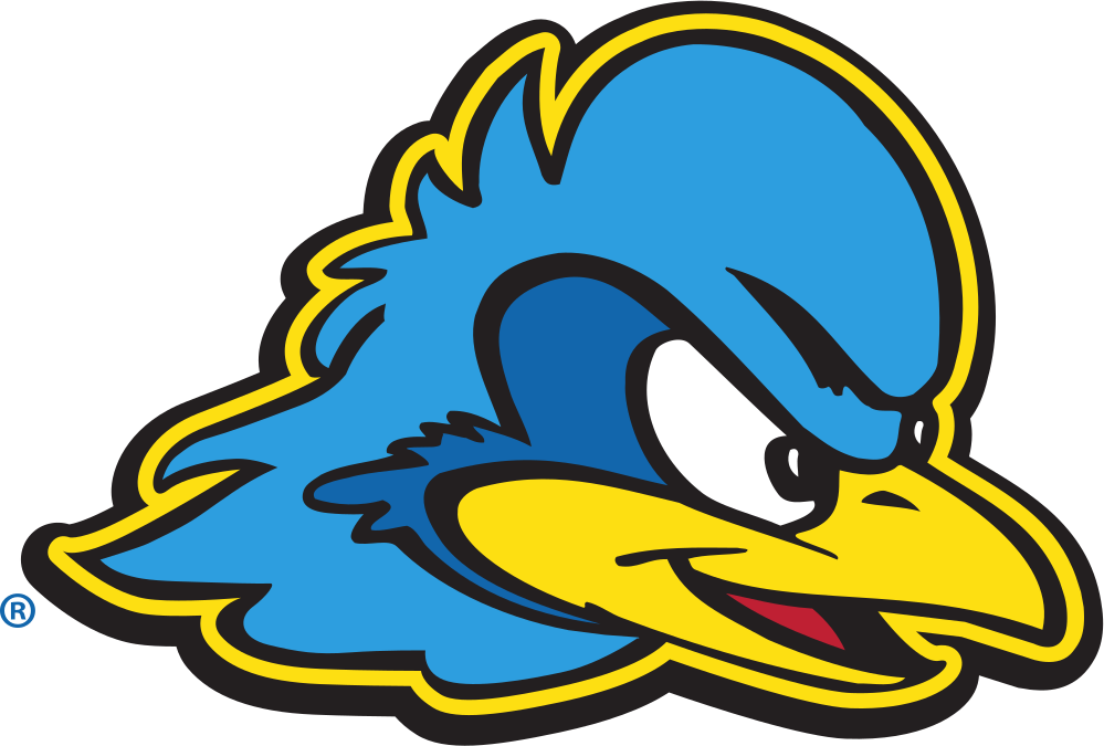 University of Delaware Colors