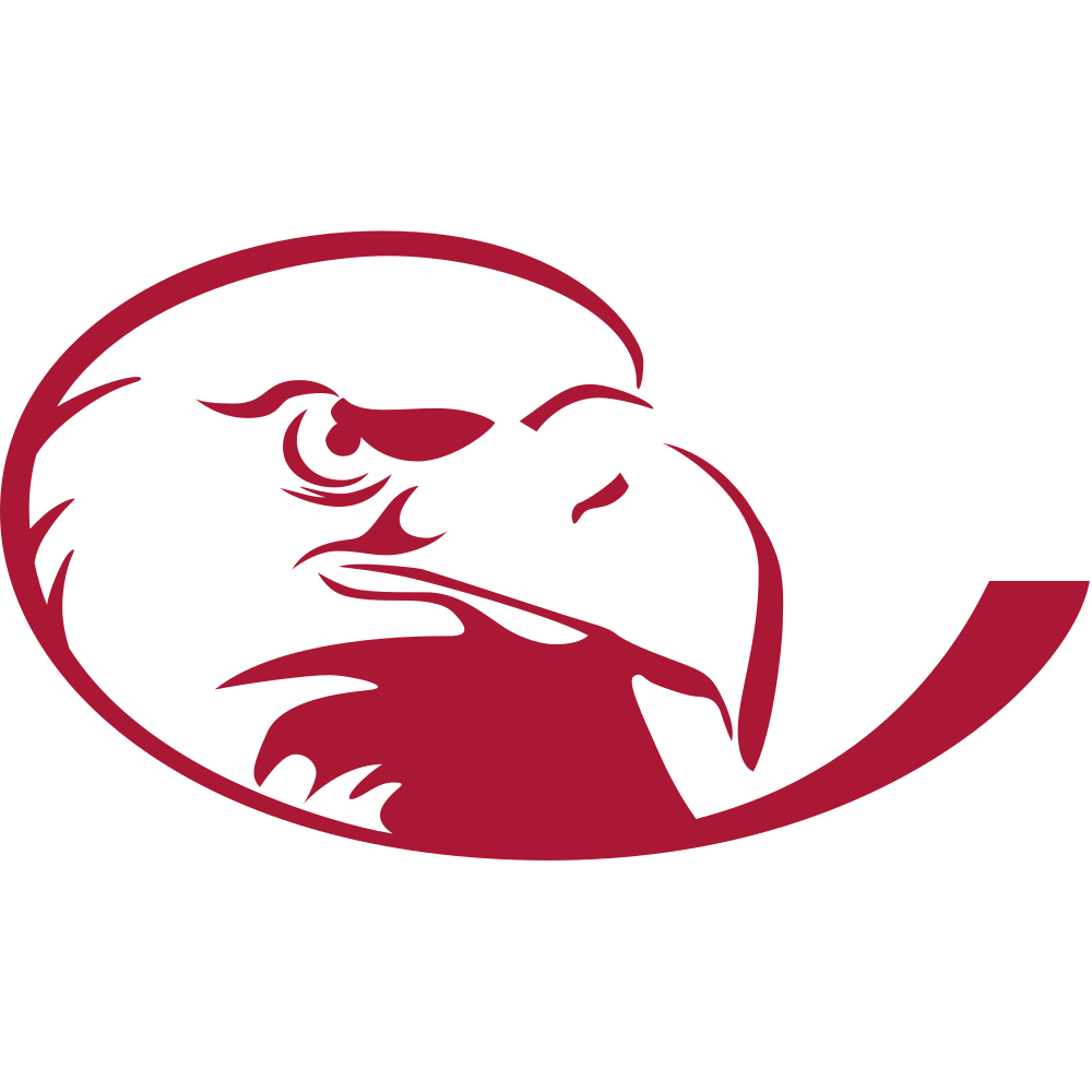 Lock Haven Bald Eagles Logo