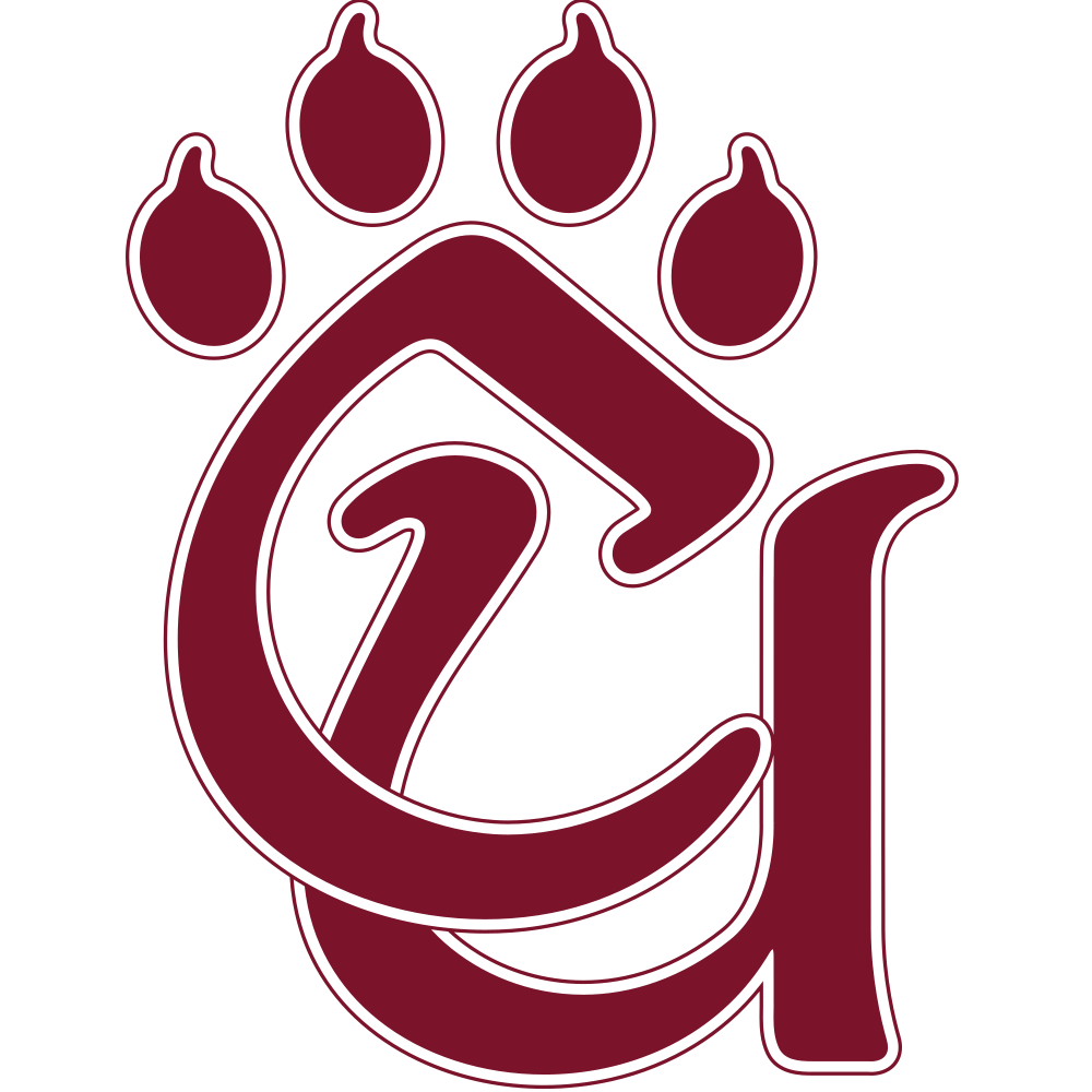 Mountain Lions Logo