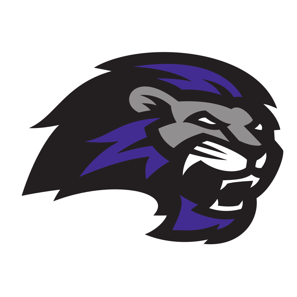Paine Lions Logo