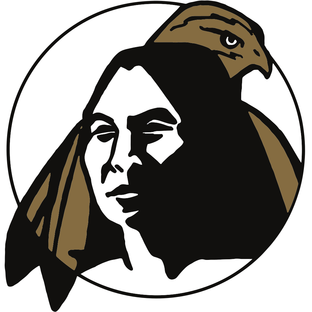 University of North Carolina at Pembroke Colors NCAA Colors U.S