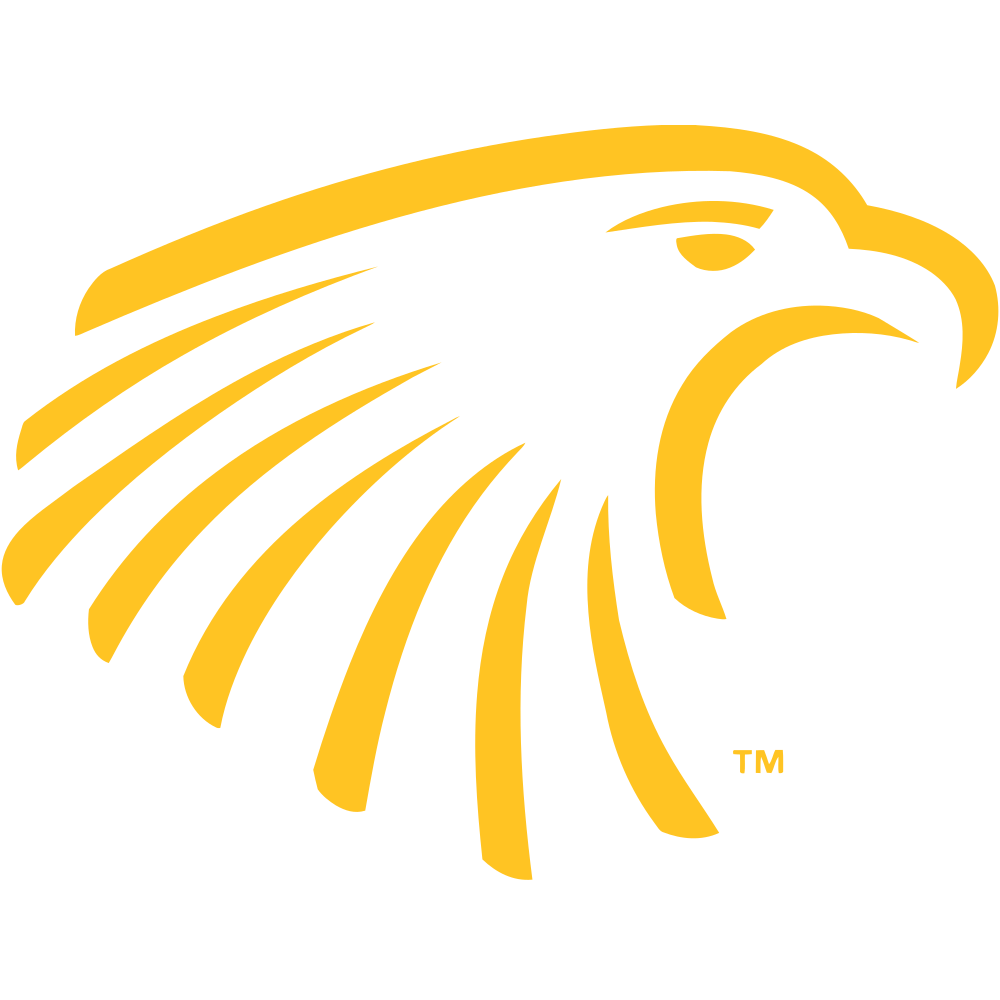 Embry-Riddle Aeronautical University Colors