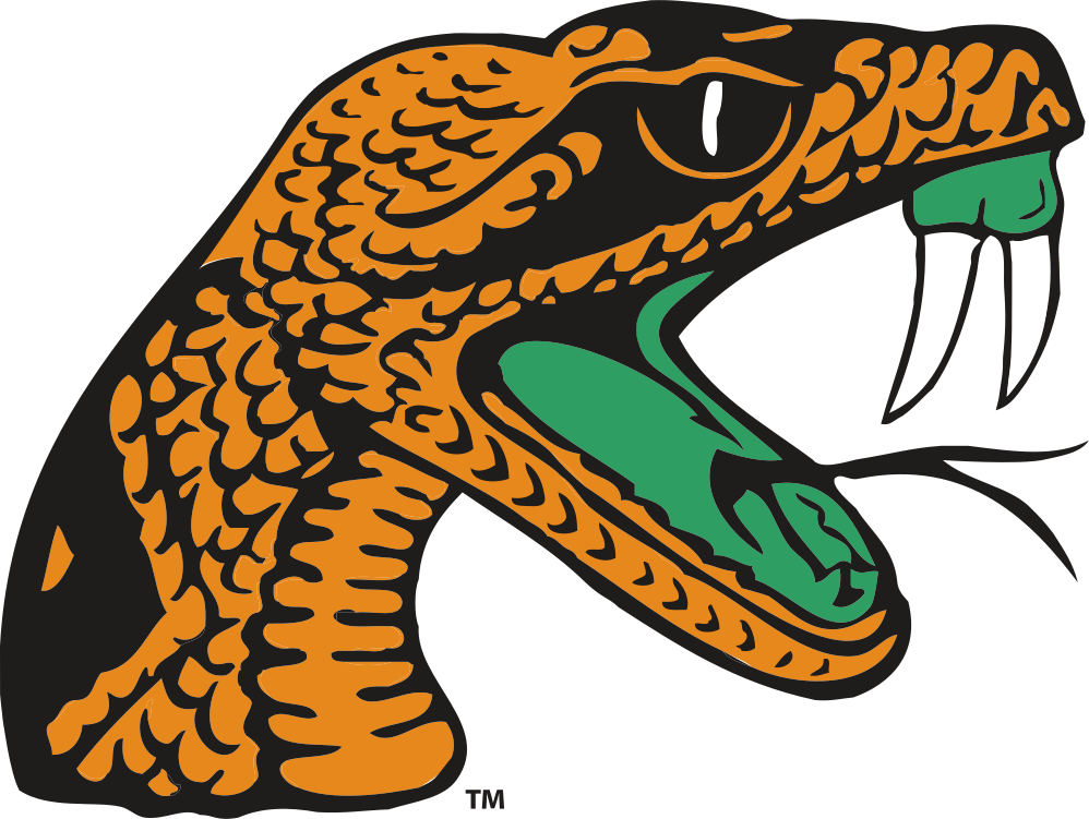 Florida A&M University Colors