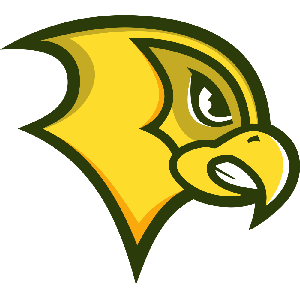Felician University Colors