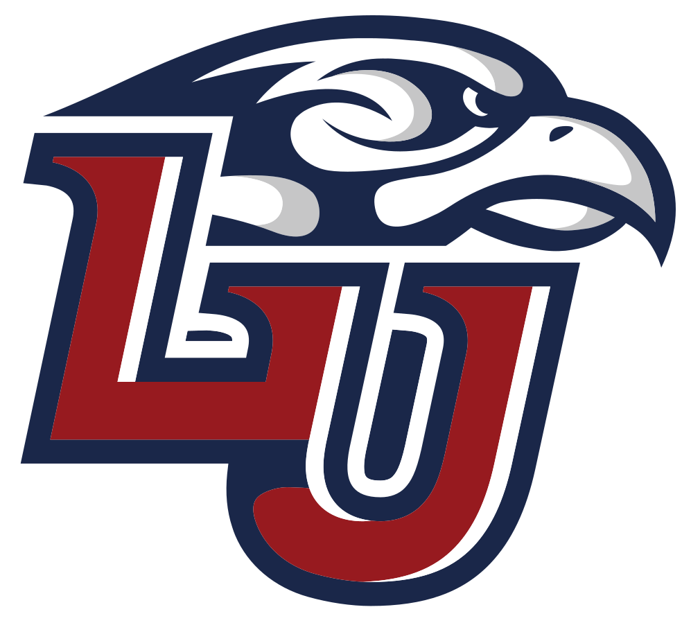Liberty University Colors