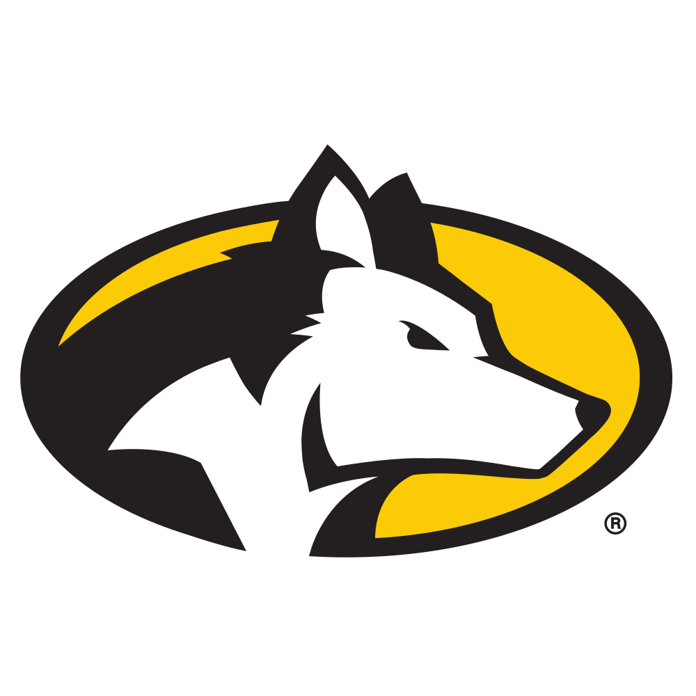Michigan Technological University Colors