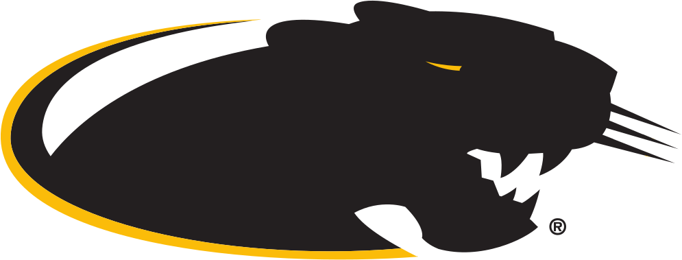 University of Wisconsin Milwaukee Colors