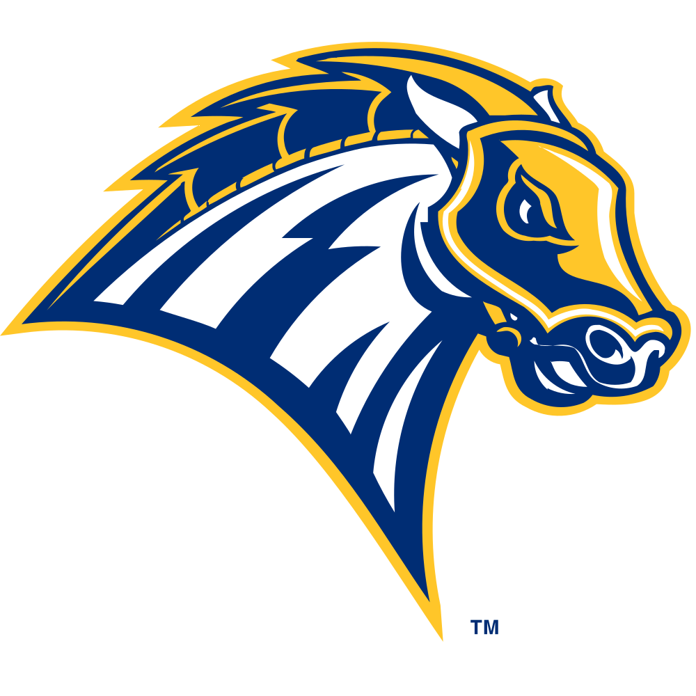 University of New Haven Colors