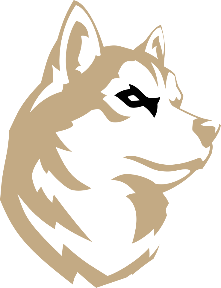 Northeastern University Colors