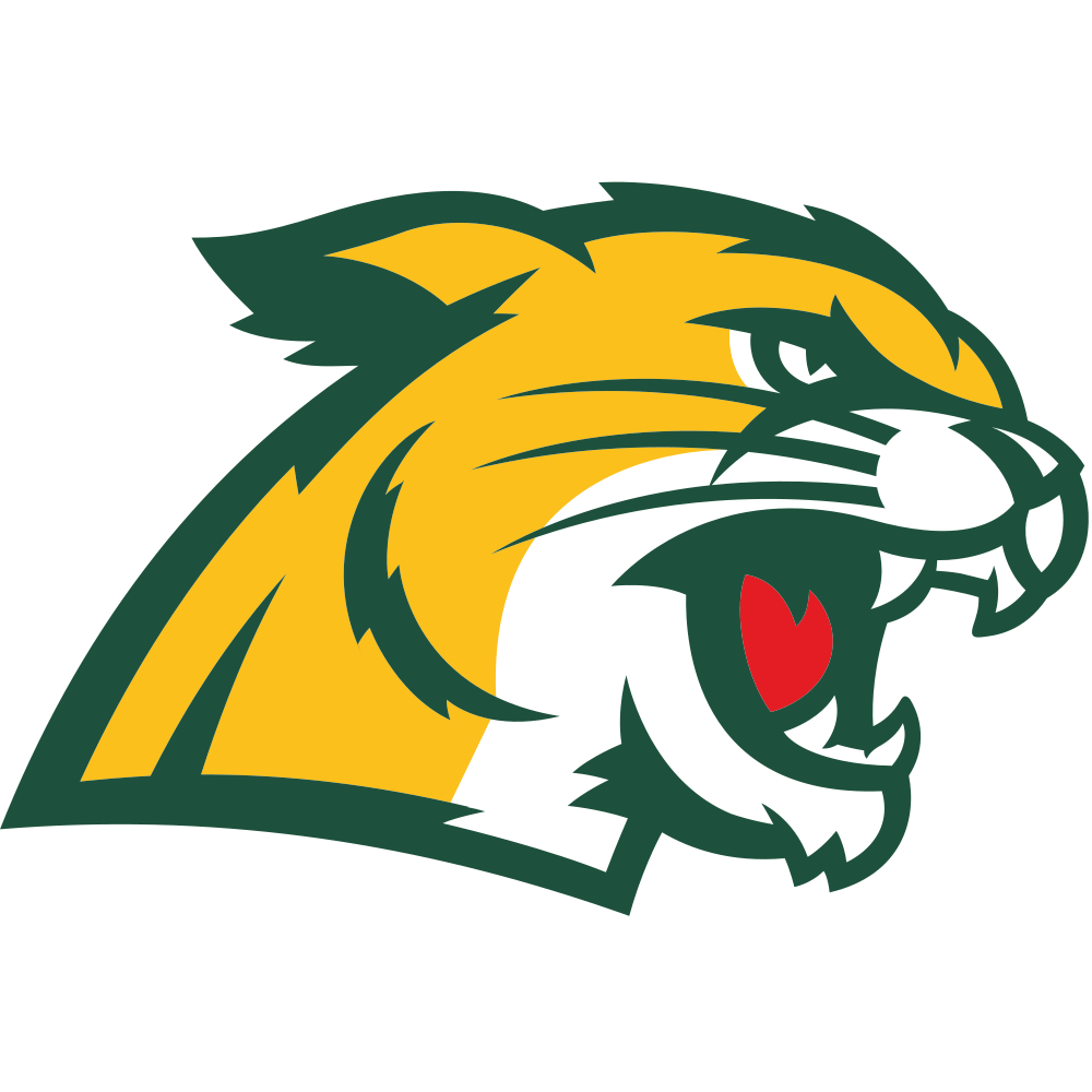 Northern Michigan University Colors