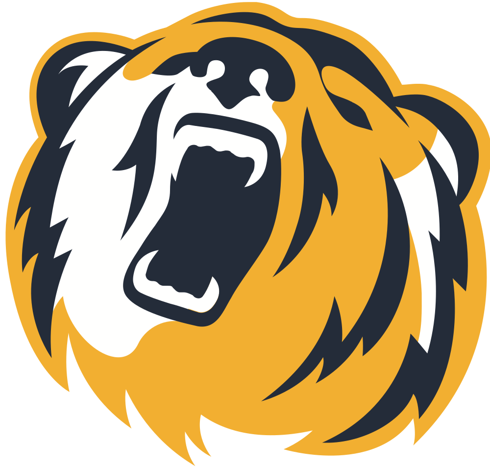 New York Institute of Technology Colors