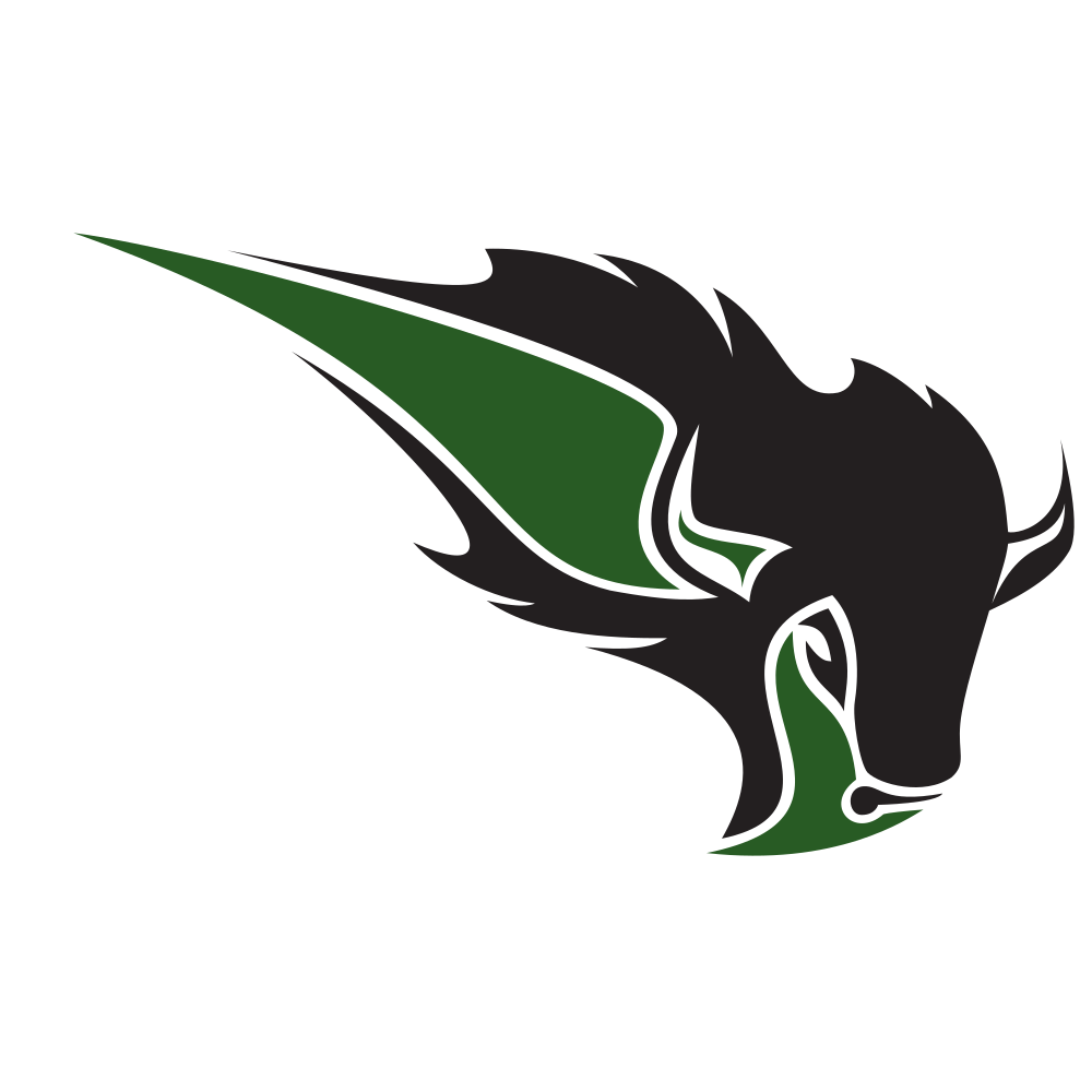 Oklahoma Baptist University Colors