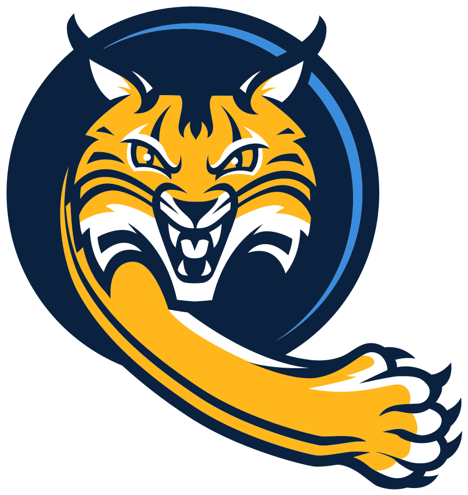 Quinnipiac University Colors
