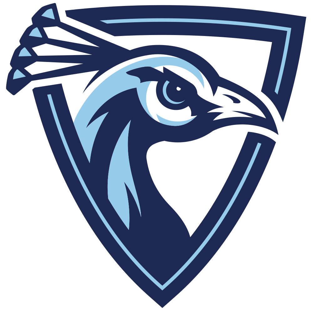 Upper Iowa University Colors