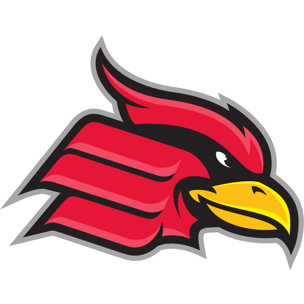 Wheeling Jesuit University Colors